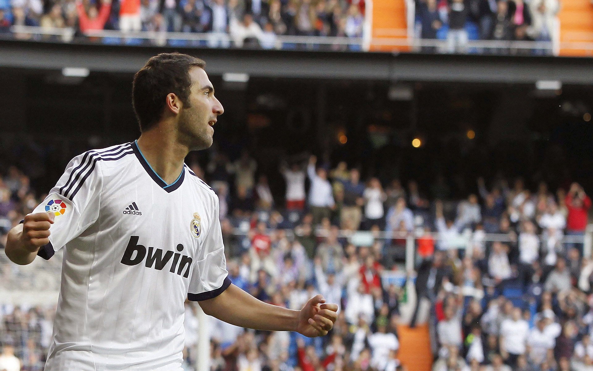 街道清洁成阿尔及利亚最大群众环保运动之一，阿尔及利亚治安社会稳定吗