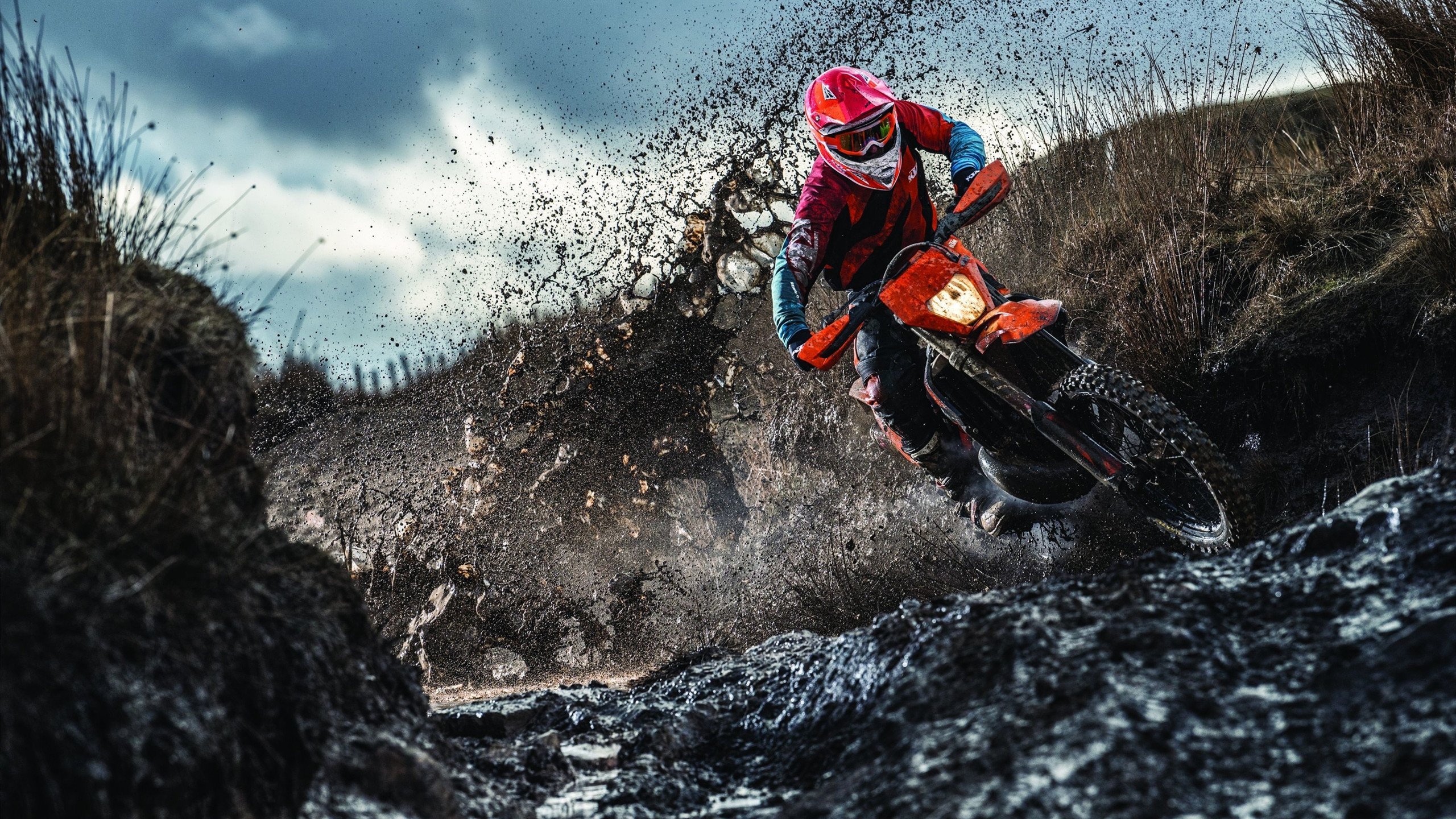 “法甲新贵崛起，迎来冲击豪门的最佳时机”，法甲新logo